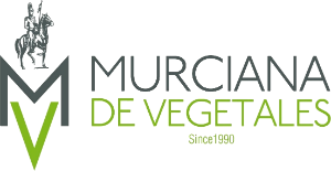 Logo Murciana Vegetales